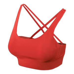 Sports underwear female running shock anti -shock anti -gathered yoga beauty back vest fitness bray yoga cloth bra Sports underwear female running shock anti -shock anti -gathered yoga beauty back vest fitness bray yoga cloth bra