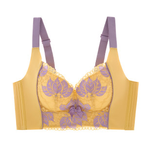 Exclusive underwear for beauty salons for women with small breasts gathered and lace breathable and side breasts adjustable and corrected sexy upper bra 
Exclusive underwear for beauty salons for women with small breasts gathered and lace breathable and side breasts adjustable and corrected sexy upper bra