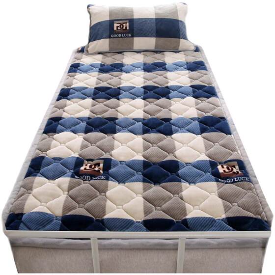 Class A thickened antibacterial milk velvet mattress dormitory student single 90x190cm university special mattress blanket 
Class A thickened antibacterial milk velvet mattress dormitory student single 90x190cm university special mattress blanket