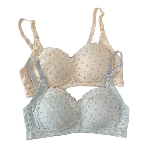 Sweet floral underwear for women with small breasts gathered thin breathable without steel rings to collect secondary breasts for girls high school students 
Sweet floral underwear for women with small breasts gathered thin breathable without steel rings to collect secondary breasts for girls high school students