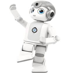 Accompanying dialogue intelligent robot children's toy Wukong Accompanying dialogue intelligent robot children's toy Wukong