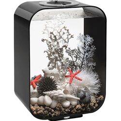 biorb black small fish tank living room home desktop biorb black small fish tank living room home desktop