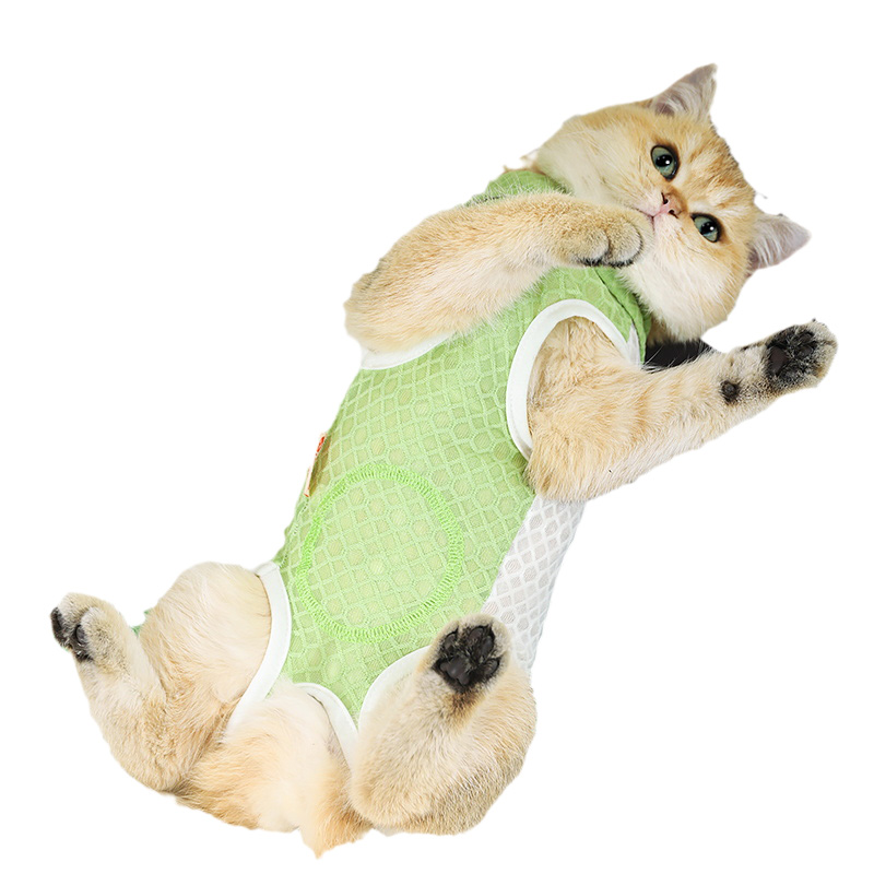 babythree オイル目 超レア お洋服着てる猫シリーズ｜Yahoo