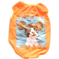 French bull bully Jingba vest French bull bully Jingba vest