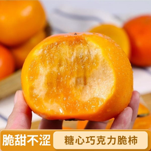 陕西巧克力脆柿子水果新鲜应季甜柿阳丰脆柿黄硬柿子发整箱