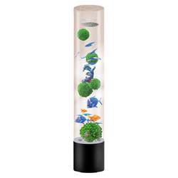No need to change water, easy to clean the stylish acrylic fish tank in the living room No need to change water, easy to clean the stylish acrylic fish tank in the living room