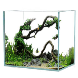 Sensen Ultra White Glass Cylinder with Base Damage Guaranteed Sensen Ultra White Glass Cylinder with Base Damage Guaranteed