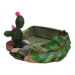 Large drinking basin resin water feeding amphibious food basin Large drinking basin resin water feeding amphibious food basin