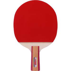 Hongshuangxi official flagship store Table tennis racket double-patch primary school students and children beginner entertainment direct horizontal shot finished product Hongshuangxi official flagship store Table tennis racket double-patch primary school students and children beginner entertainment direct horizontal shot finished product