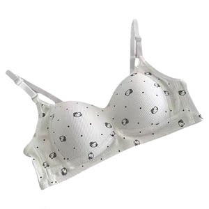 Cute cat Japanese girl underwear small breast push-up no wire anti-sagging comfortable breathable student underwear bra 
Cute cat Japanese girl underwear small breast push-up no wire anti-sagging comfortable breathable student underwear bra