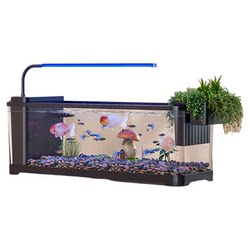 Fish tank 2025 new filtration and oxygen generator all-in-one machine Fish tank 2025 new filtration and oxygen generator all-in-one machine