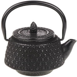 Free shipping for the Southern Iron Tools Need Teapot Free shipping for the Southern Iron Tools Need Teapot