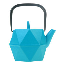 Nanbu Iron Japan Urgent Tea Kettle with Strainer Nanbu Iron Japan Urgent Tea Kettle with Strainer