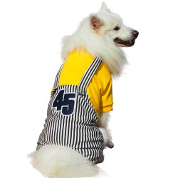 Medium-sized dog with velvet golden retriever silver fox strap four-legged clothes Medium-sized dog with velvet golden retriever silver fox strap four-legged clothes