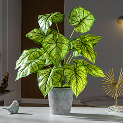 Simulated Small Potted Plants, Office Living Room Desktop Decoration Ornaments, Indoor Entrance Hall, Simulated Fake Flowers and Green Plants Decoration Simulated Small Potted Plants, Office Living Room Desktop Decoration Ornaments, Indoor Entrance Hall, Simulated Fake Flowers and Green Plants Decoration