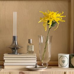 Special Day Original Design Crystal Glass Vase Home Decor Simple and Versatile Flower Arrangement ins Style Special Day Original Design Crystal Glass Vase Home Decor Simple and Versatile Flower Arrangement ins Style