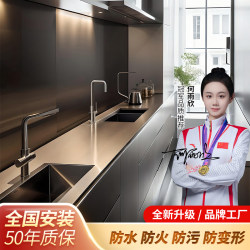 Stainless steel integrated cabinets stainless steel solid countertops Stainless steel integrated cabinets stainless steel solid countertops