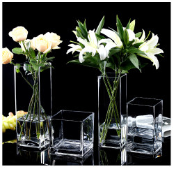 Square Floor-Standing Glass Vase, Large, Extra-Large, Transparent, for Arranging Lucky Bamboo, Lilies, and Hydroponic Plants, Suitable for Living Room, Modern and Simple Square Floor-Standing Glass Vase, Large, Extra-Large, Transparent, for Arranging Lucky Bamboo, Lilies, and Hydroponic Plants, Suitable for Living Room, Modern and Simple