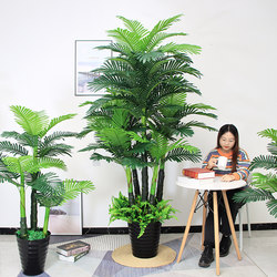 Clothing Store Artificial Plants, Green Plants, Living Room Fake Flower Decorations, Floor-Standing Potted Plants, Fake Money Tree, Indoor Areca Palm Bonsai Clothing Store Artificial Plants, Green Plants, Living Room Fake Flower Decorations, Floor-Standing Potted Plants, Fake Money Tree, Indoor Areca Palm Bonsai