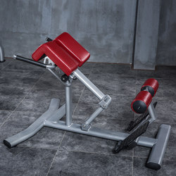 Yulong Commercial Roman Chair Roman Bench Fitness Chair Professional Goat Stretching Waist Abdominal Muscle Back Muscle Trainer Yulong Commercial Roman Chair Roman Bench Fitness Chair Professional Goat Stretching Waist Abdominal Muscle Back Muscle Trainer
