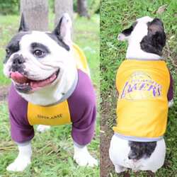 Autumn New Pet Basketball Sweatshirt English Bull French Bull Dog Long Sleeve Sweatshirt Bull Bully Pug Pekingese Dog Clothes Autumn New Pet Basketball Sweatshirt English Bull French Bull Dog Long Sleeve Sweatshirt Bull Bully Pug Pekingese Dog Clothes