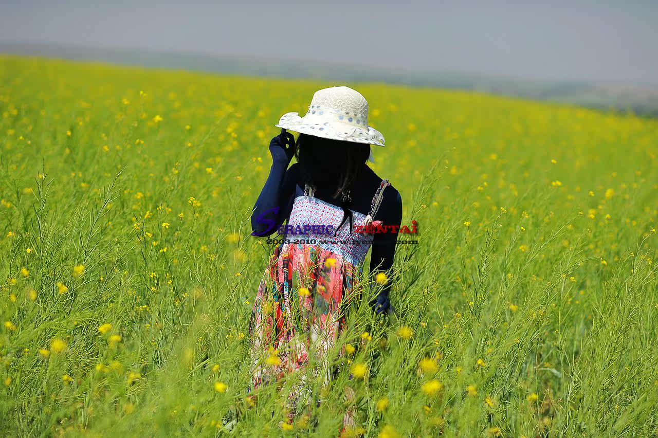 Корректирующее боди     ：a107     