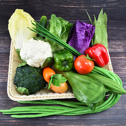 Simulated Vegetable Model Plastic Fake Fruits Vegetables Bread Refrigerator Cabinet Ornaments Kidsren's Early Education Decorative Props Simulated Vegetable Model Plastic Fake Fruits Vegetables Bread Refrigerator Cabinet Ornaments Kidsren's Early Education Decorative Props