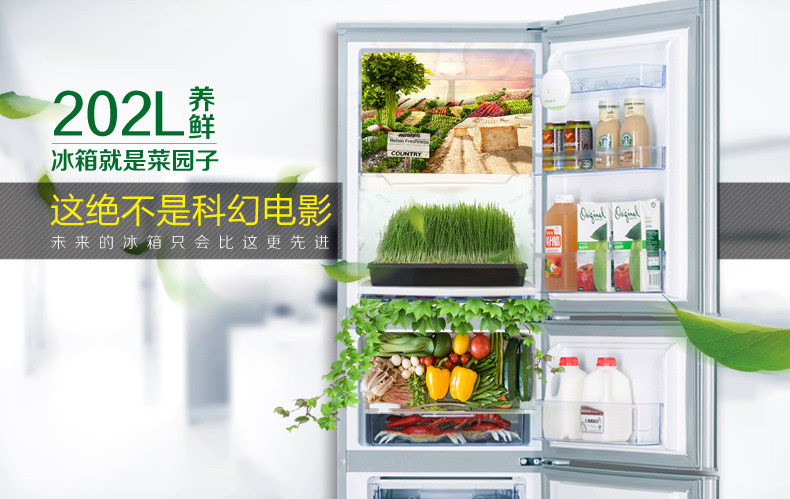 冰箱容声好还是海尔好_海尔容声那个冰箱好_容声冰箱和美的冰箱哪个好