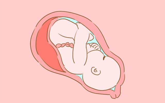 胎儿在孕妈肚子里都干啥?看这组图就知道