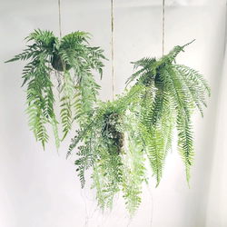 Artificial Fern Hanging Plant Grass Ball Green Wonderland Hanging Decoration Green Plant Home Shop Window Restaurant Artificial Fern Hanging Plant Grass Ball Green Wonderland Hanging Decoration Green Plant Home Shop Window Restaurant