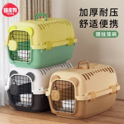 Cute bear air box for pet cats and dogs Cute bear air box for pet cats and dogs