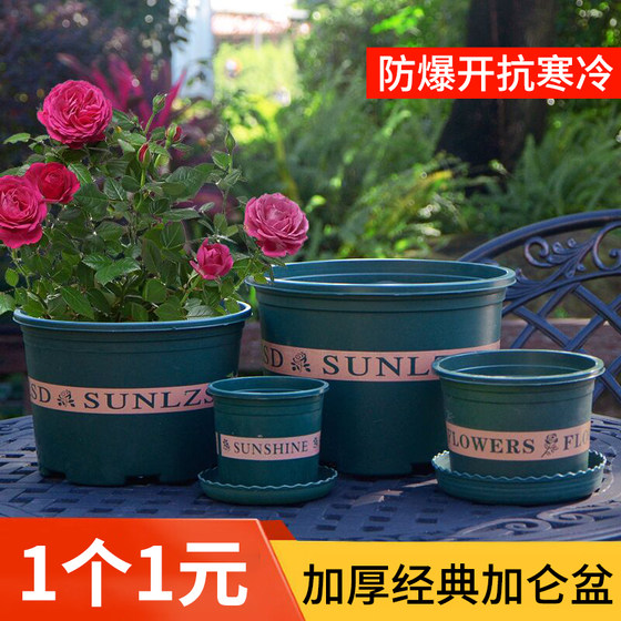 Gallon Pot Callon Thick Green Printing Plastic Basin Poor Poor Green Verflin Green Plant Plant Tibetan Tib Gallon Pot Callon Thick Green Printing Plastic Basin Poor Poor Green Verflin Green Plant Plant Tibetan Tib