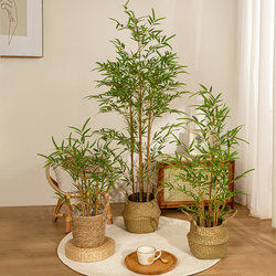 High-End Artificial Green Plant Bamboo Potted Plant Indoor Living Room New Chinese Zen-Style Landscaping Fake Bamboo Plant Decorative Ornaments High-End Artificial Green Plant Bamboo Potted Plant Indoor Living Room New Chinese Zen-Style Landscaping Fake Bamboo Plant Decorative Ornaments
