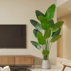 Nordic ins Artificial Traveler's Banana Tree and Bird of Paradise Potted Plants, Indoor Fake Green Plants, Window Display Canna, Floor-Standing Decorative Pieces Nordic ins Artificial Traveler's Banana Tree and Bird of Paradise Potted Plants, Indoor Fake Green Plants, Window Display Canna, Floor-Standing Decorative Pieces