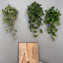 Artificial Green Radish Wall-Mounted Potted Plant, Wall Floral Decoration, Mosquito-Repelling Leaves, Vine Green Plant for Window and Storefront Decoration Artificial Green Radish Wall-Mounted Potted Plant, Wall Floral Decoration, Mosquito-Repelling Leaves, Vine Green Plant for Window and Storefront Decoration