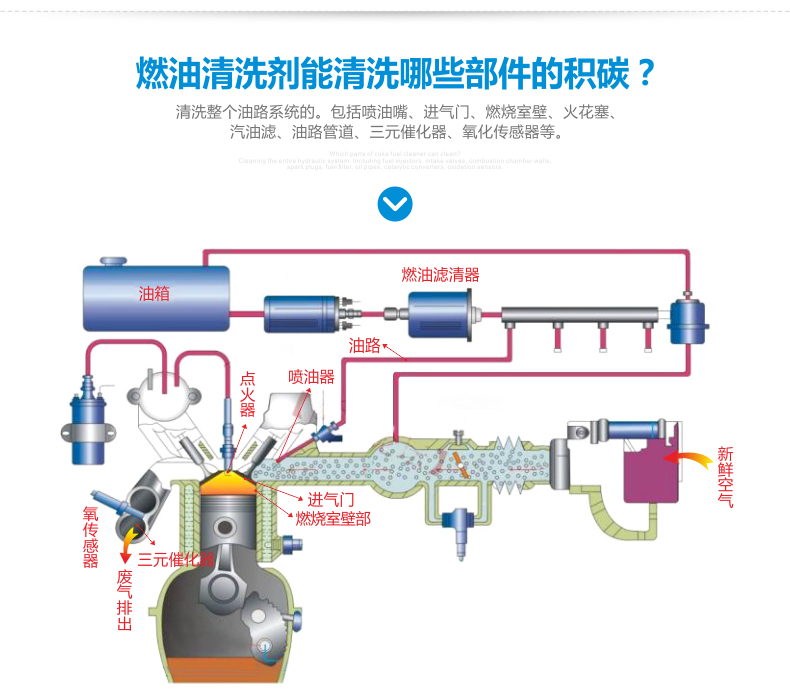 马驰宝汽油添加剂 汽车燃油积碳清洗剂