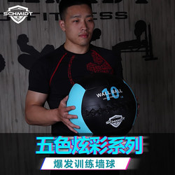 Schmidt Fitness Wall Ball Core Stability Explosive Training Medicine Ball Soft-Packed Medicine Ball Physical Training Ball 5-25lb Schmidt Fitness Wall Ball Core Stability Explosive Training Medicine Ball Soft-Packed Medicine Ball Physical Training Ball 5-25lb