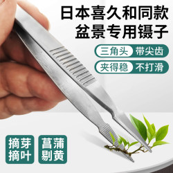 Japan's same stainless steel gardening tweezers, calamus picking yellow and fleshy dead leaves, picking buds and leaves, anti-slip clip Japan's same stainless steel gardening tweezers, calamus picking yellow and fleshy dead leaves, picking buds and leaves, anti-slip clip