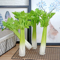 Plastic Artificial Fake Vegetables, Green Celery, Lettuce, Food Model, Model House Soft Decoration, Hanging Display, Photography Props Plastic Artificial Fake Vegetables, Green Celery, Lettuce, Food Model, Model House Soft Decoration, Hanging Display, Photography Props
