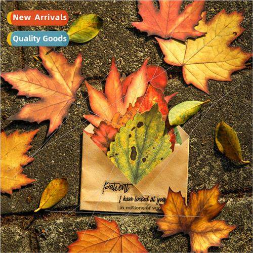 Material Paper Autumn Leaf Flower Letter Series Retro mulati Material Paper Autumn Leaf Flower Letter Series Retro mulati