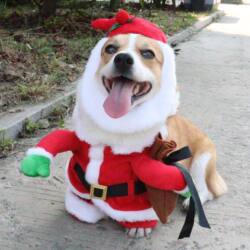 Dog clothes pet Christmas funny transformation costume Dog clothes pet Christmas funny transformation costume