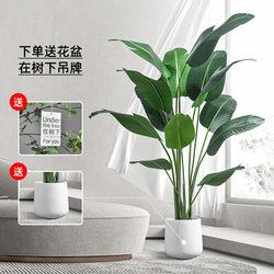 Simulated Green Plants, Fake Plants, Indoor Large Potted Plants, Simulated Green Plants, Living Room Decoration Ornaments, Traveler's Banana Tree, Simulated Trees Simulated Green Plants, Fake Plants, Indoor Large Potted Plants, Simulated Green Plants, Living Room Decoration Ornaments, Traveler's Banana Tree, Simulated Trees