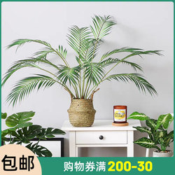 Nordic Artificial Green Plant Areca Palm Fake Plant Ornament Living Room Desktop Green Plant Decoration Small Potted Plant Nordic Artificial Green Plant Areca Palm Fake Plant Ornament Living Room Desktop Green Plant Decoration Small Potted Plant