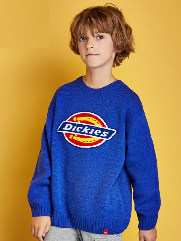 Dickies 休闲毛衣 Dickies 休闲毛衣