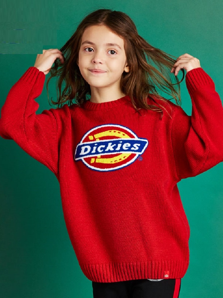 Dickies 休闲毛衣 Dickies 休闲毛衣