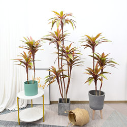 Nordic simulated red leaf red banana green plants living room home hotel landscaping tropical rainforest landscape plants artificial trees Nordic simulated red leaf red banana green plants living room home hotel landscaping tropical rainforest landscape plants artificial trees