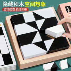 Hidden Building Blocks Black and White Puzzle for Boys Aged 6 to 12 and Above, and Girls Aged 10-14, Children's Educational Assembly Training Toy Hidden Building Blocks Black and White Puzzle for Boys Aged 6 to 12 and Above, and Girls Aged 10-14, Children's Educational Assembly Training Toy
