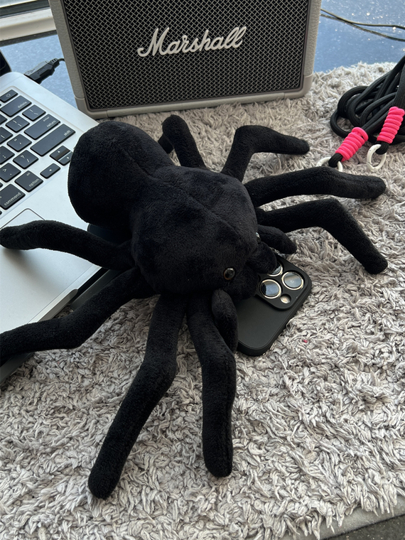 Crossbody Lanyard Strap Plush Black Spider 3D Niche 15, 14, 13, 12 iPhone Case