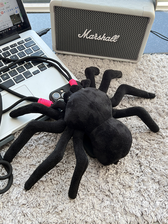 Crossbody Lanyard Strap Plush Black Spider 3D Niche 15, 14, 13, 12 iPhone Case