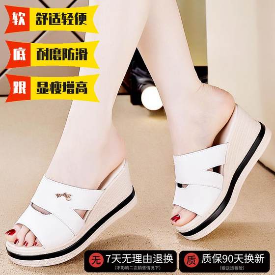 Red Green Flying Flip-Flops for Women in Autumn Anti-Slip Soft Solemn versatile casual and not tired mother sandals with wedges outside cool
Red Green Flying Flip-Flops for Women in Autumn Anti-Slip Soft Solemn versatile casual and not tired mother sandals with wedges outside cool